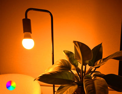 orange, yellow glow from full spectrum lightbulb, in lamp on table