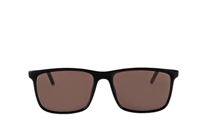 Brooklyn Sunglasses (Brown) Front View